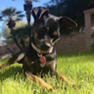 Meet your Posher, Caitlin